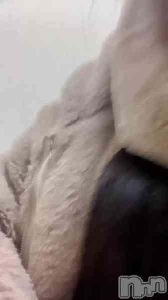 なぎさの動画 ありがとう♡