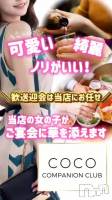 ޲Ρѥ˥󡿤ΤͽϤѤߤǤ