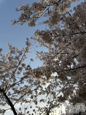 長岡デリヘル BIANCA～主人の知らない私～長岡店(ビアンカナガオカテン) 太田　ねい(38)の4月18日写メブログ「今日のお礼」