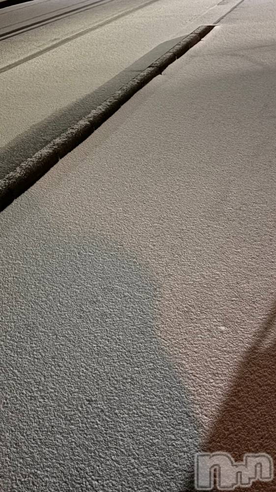 ʥå륺СJEUNESSE(ͥ) sena1224̥֥❄️