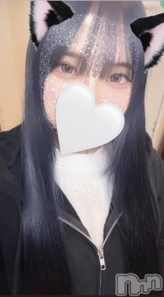 ʥå륺СJEUNESSE(ͥ) sena1231ֽ̥֥λ