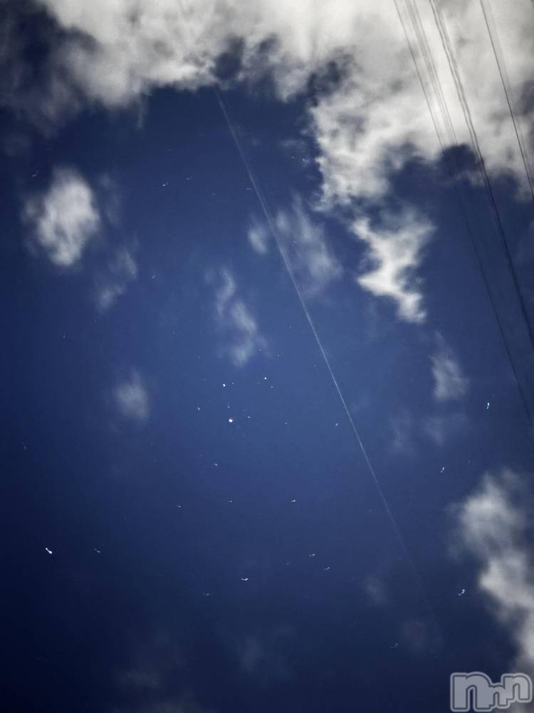 ʥå륺СJEUNESSE(ͥ) sena131̥֥⭐️