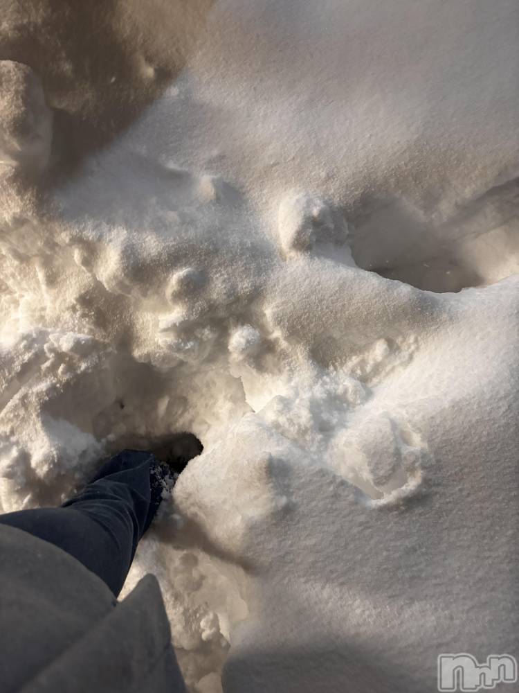 ʥå륺СJEUNESSE(ͥ) sena28̥֥☃️❄️️