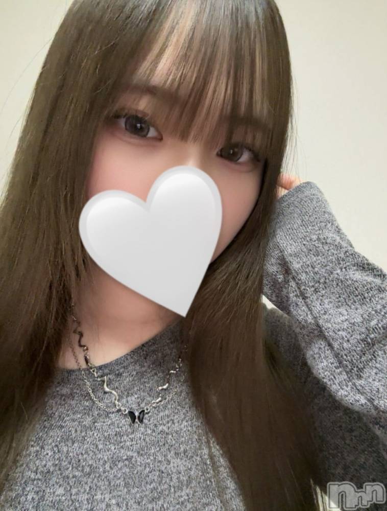 ʥå륺СJEUNESSE(ͥ) sena331̥֥֤塼❕