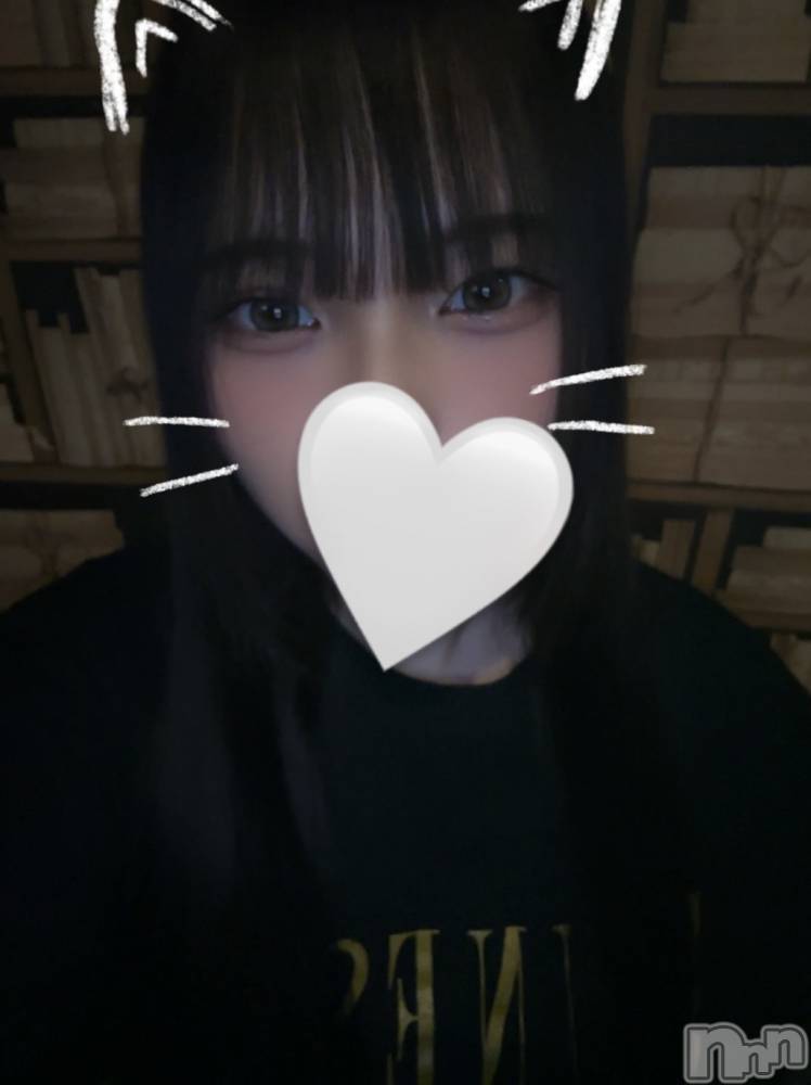 ʥå륺СJEUNESSE(ͥ) sena64̥֥🐛🐝🐜🐞
