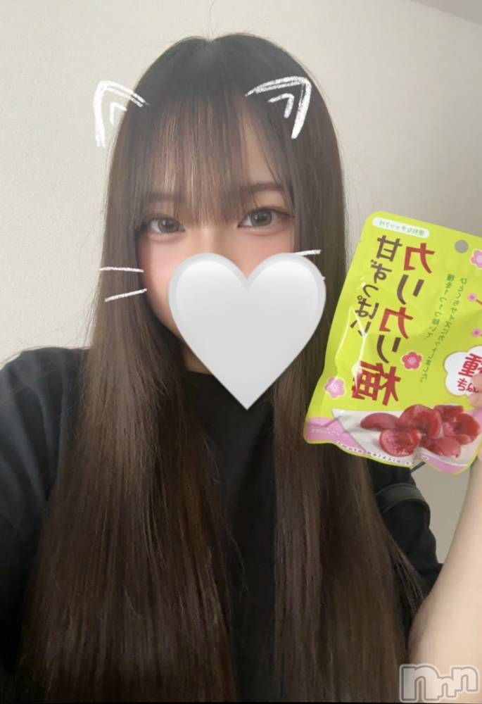 ʥå륺СJEUNESSE(ͥ) sena66̥֥ume