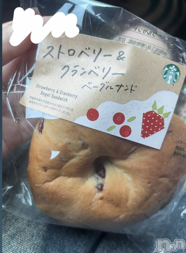 ʥå륺СJEUNESSE(ͥ) sena627̥֥🥯