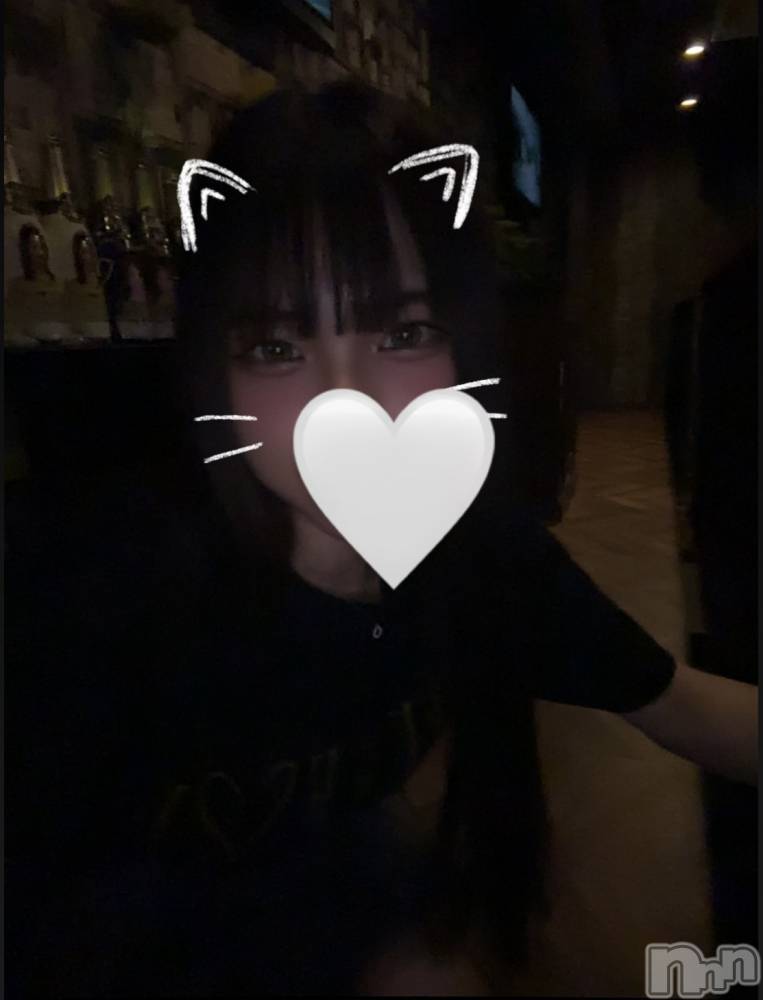 ʥå륺СJEUNESSE(ͥ) sena811̥֥⛰️