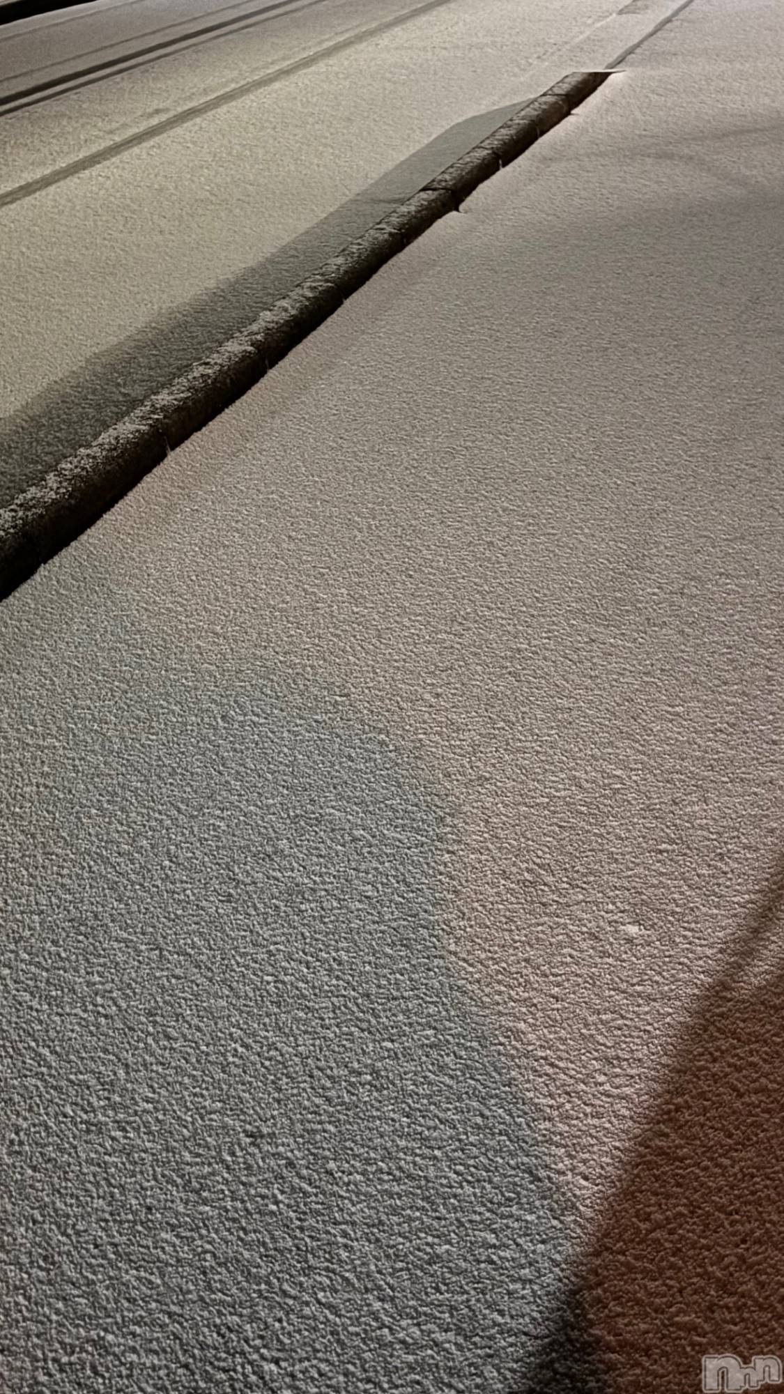 ʥå륺СJEUNESSE(ͥ) 2024ǯ1224̥֥❄️