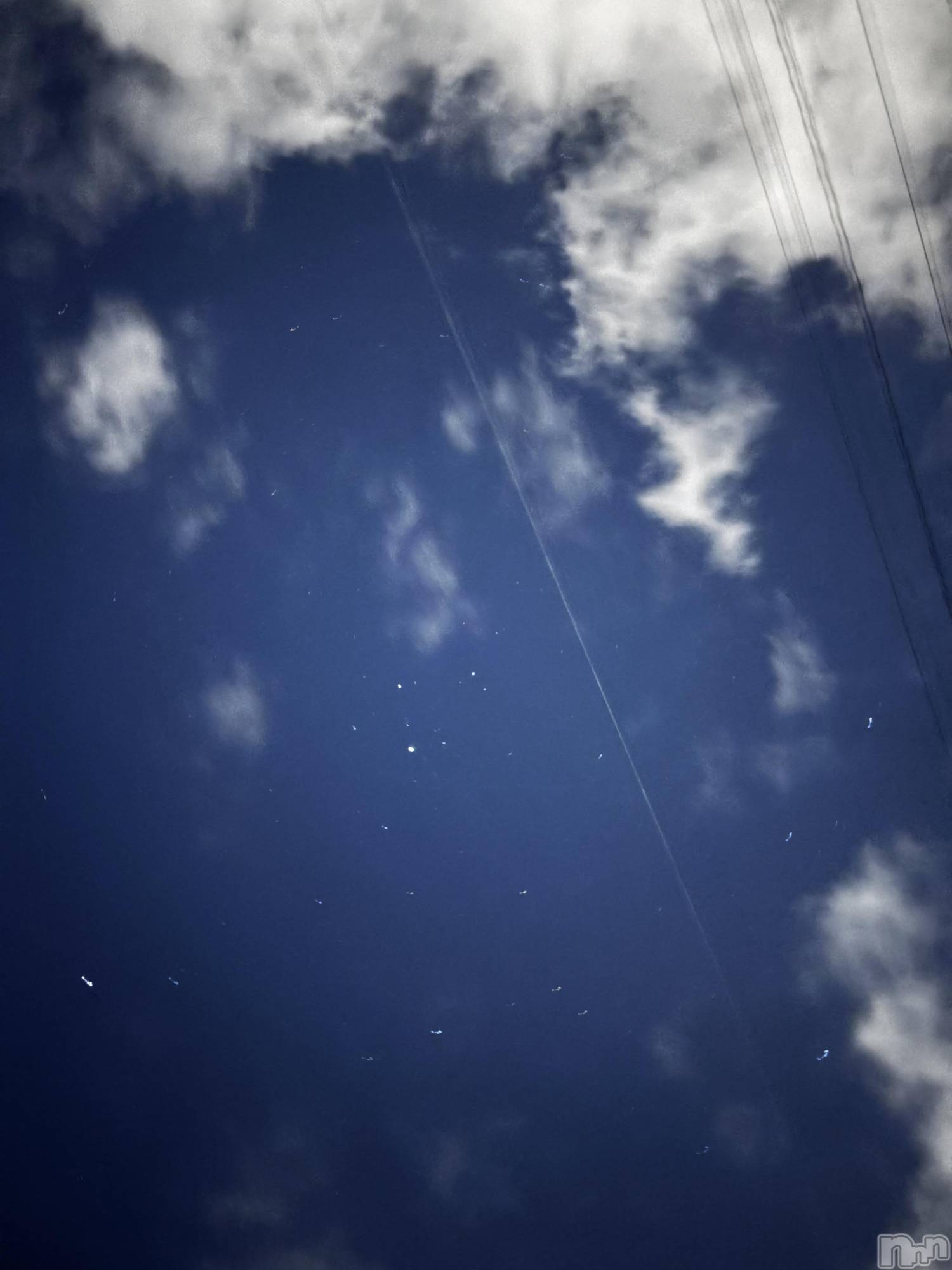 ʥå륺СJEUNESSE(ͥ) 2025ǯ131̥֥⭐️