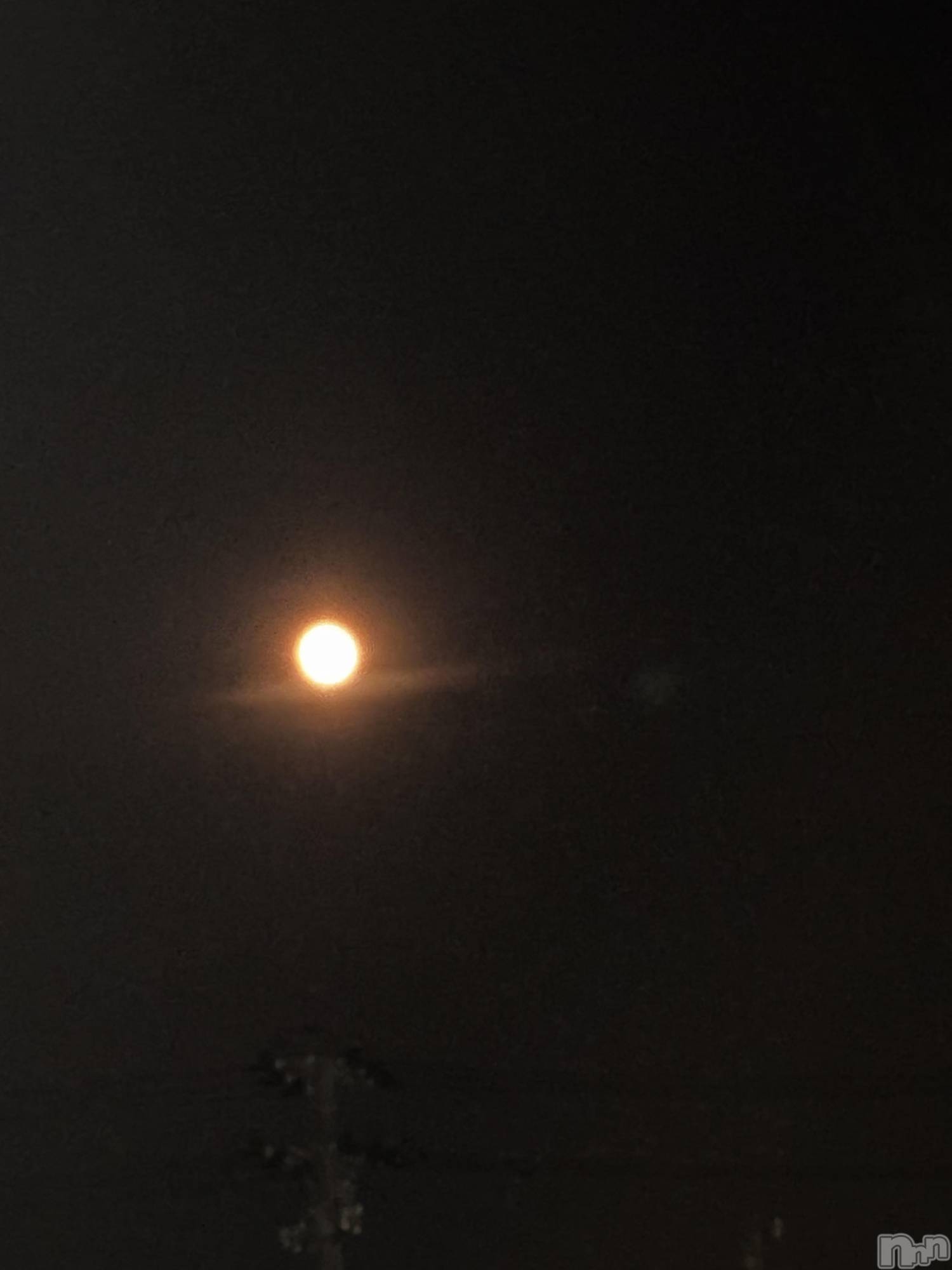 ʥå륺СJEUNESSE(ͥ) 2025ǯ514̥֥FlowerMoon🌕