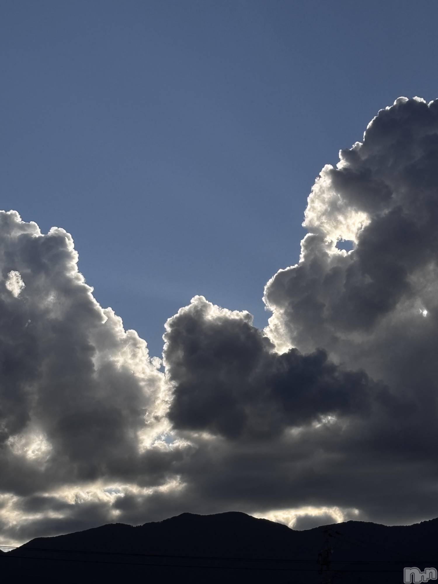 ʥå륺СJEUNESSE(ͥ) 2025ǯ831̥֥︎︎🌦️