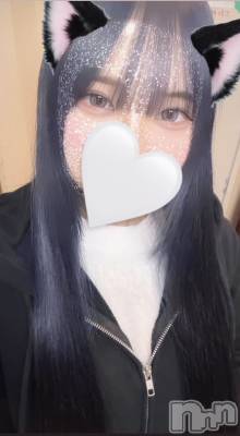 ʥå륺СJEUNESSE(ͥ) sena1231ֽ̥֥λ