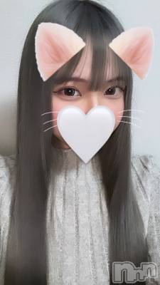 ʥå륺СJEUNESSE(ͥ) sena124̥֥😷