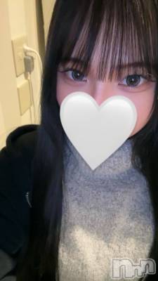 ʥå륺СJEUNESSE(ͥ) sena26̥֥֥饳