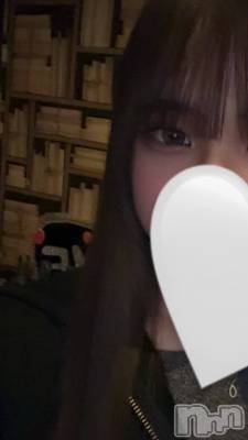 ʥå륺СJEUNESSE(ͥ) sena317̥֥SDGs