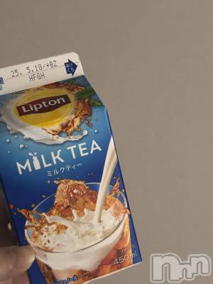ʥå륺СJEUNESSE(ͥ) sena510̥֥Lipton