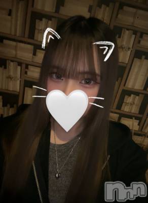 ʥå륺СJEUNESSE(ͥ) sena522̥֥֤ޤää