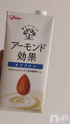 ʥå륺СJEUNESSE(ͥ) sena530̥֥֤ɡ