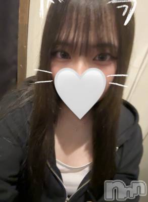 ʥå륺СJEUNESSE(ͥ) sena62ֽ̥֥ж‼️