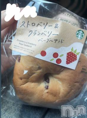 ʥå륺СJEUNESSE(ͥ) sena627̥֥🥯