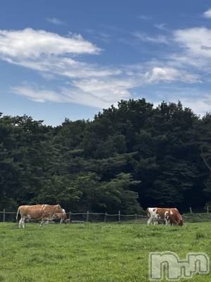 ʥå륺СJEUNESSE(ͥ) sena630̥֥🐂