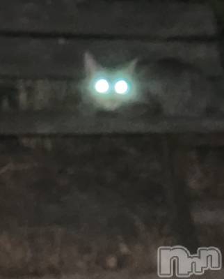 ʥå륺СJEUNESSE(ͥ) sena819̥֥🐈