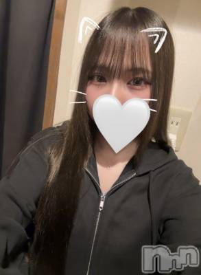 ʥå륺СJEUNESSE(ͥ) sena914̥֥🍴😋