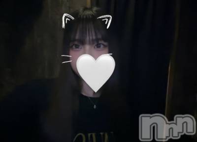 ʥå륺СJEUNESSE(ͥ) sena930̥֥🐱
