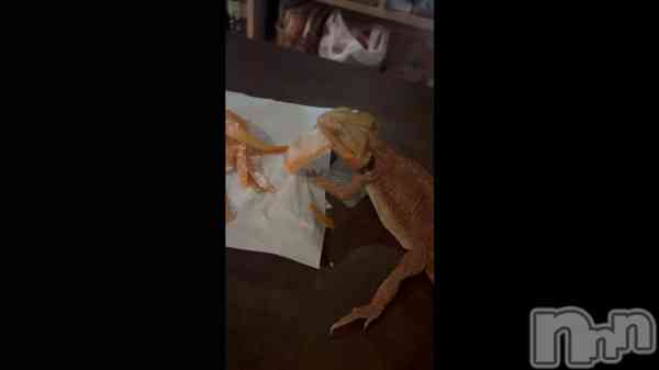 &#x1F98E;