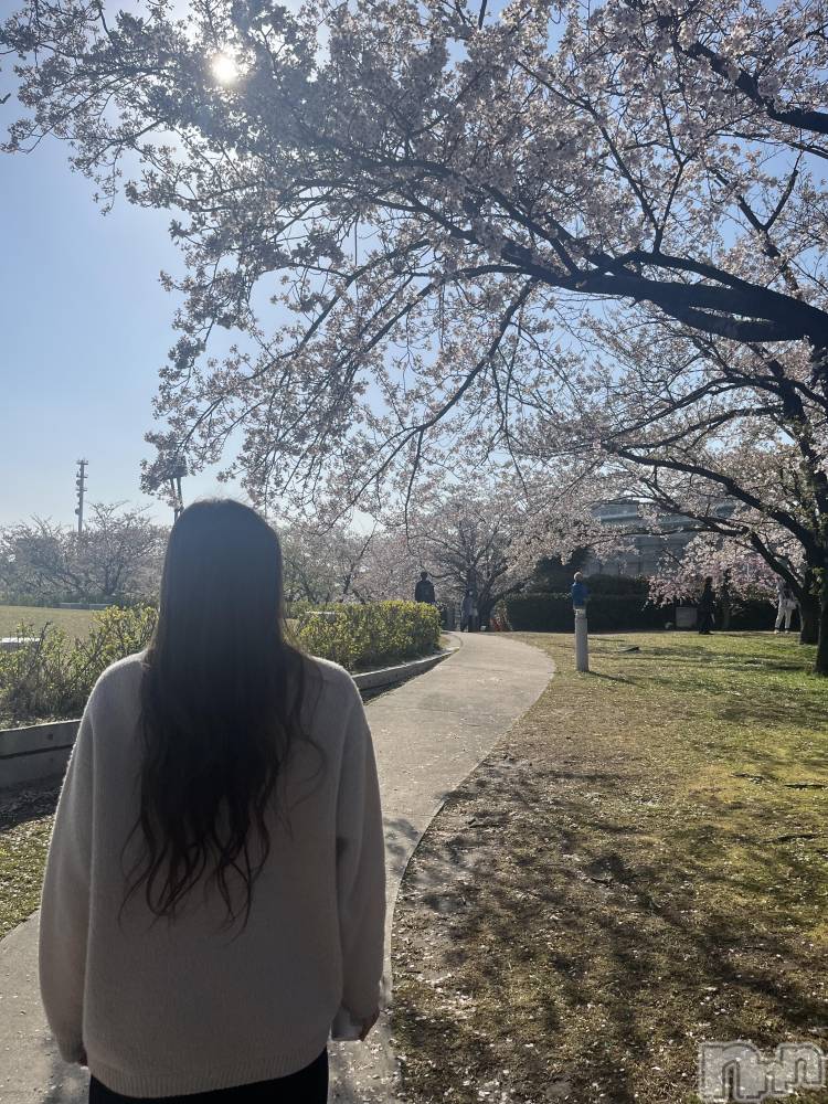 ȯĥХ顦CLUB  F.ROZEN(֥ե) 416̥֥🌸𝑺𝑨𝑲𝑼𝑹𝑨🌸🌸✩. *ߡ
