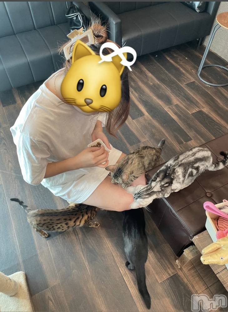 ȯĥХ顦CLUB  F.ROZEN(֥ե) 521̥֥🐱ྀི🐱ྀི🐱ྀི