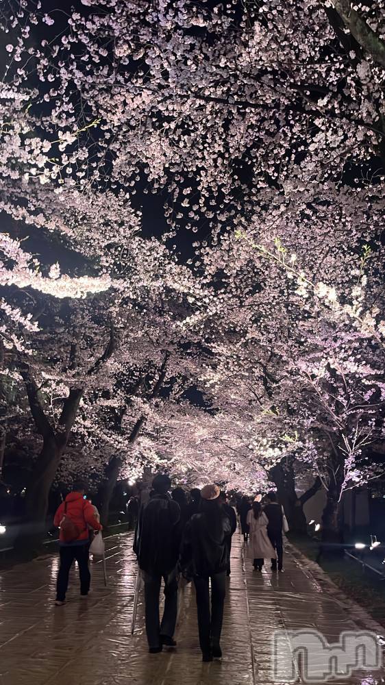 ��ȯ�ĥ���Х��顦�����REBIVE(��Х���) �����4��11���̥�֥����ֹ���🌸��