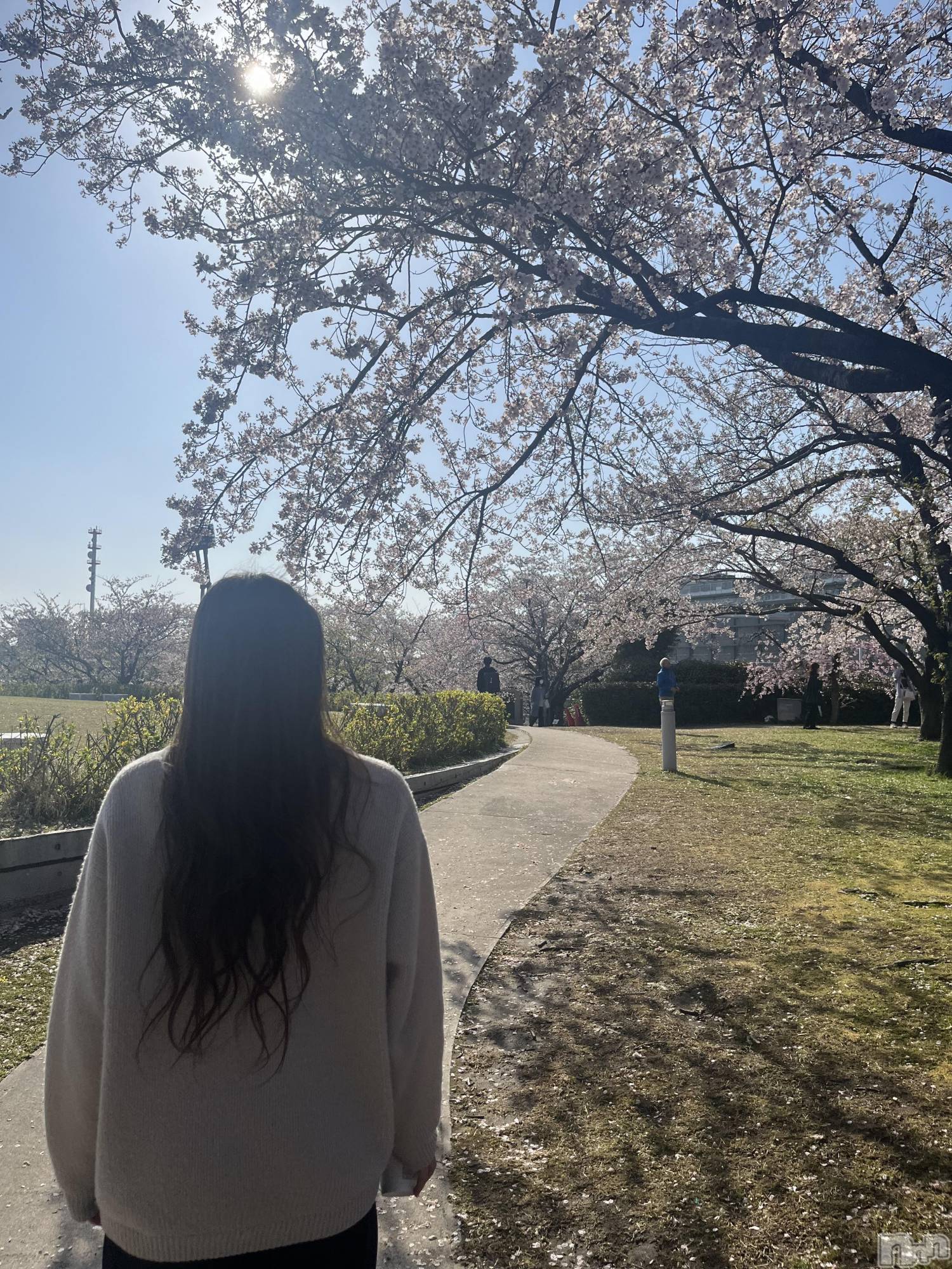 ȯĥХ顦CLUB  F.ROZEN(֥ե) 2025ǯ416̥֥🌸𝑺𝑨𝑲𝑼𝑹𝑨🌸🌸✩. *ߡ