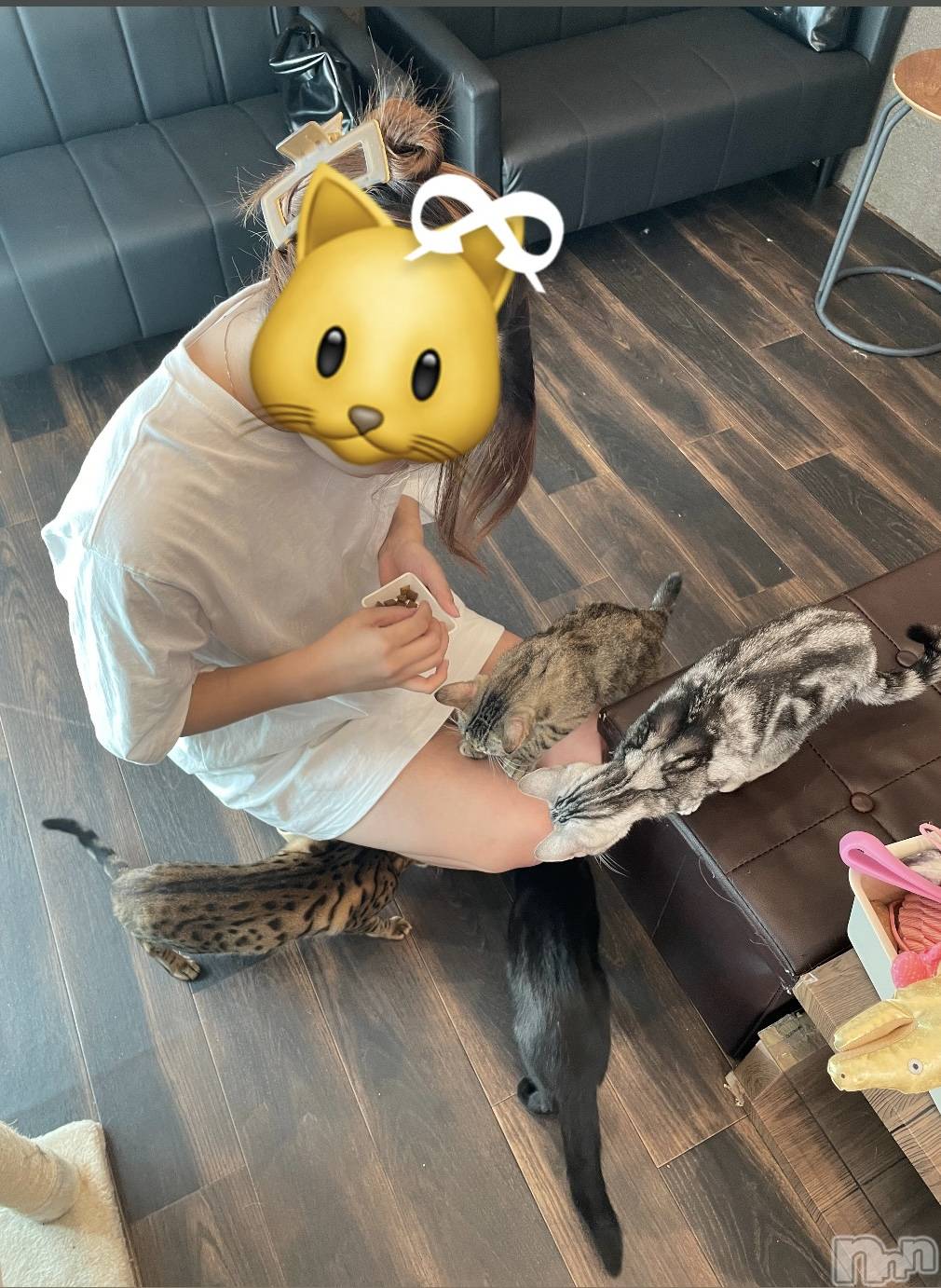 ȯĥХ顦CLUB  F.ROZEN(֥ե) 2025ǯ521̥֥🐱ྀི🐱ྀི🐱ྀི