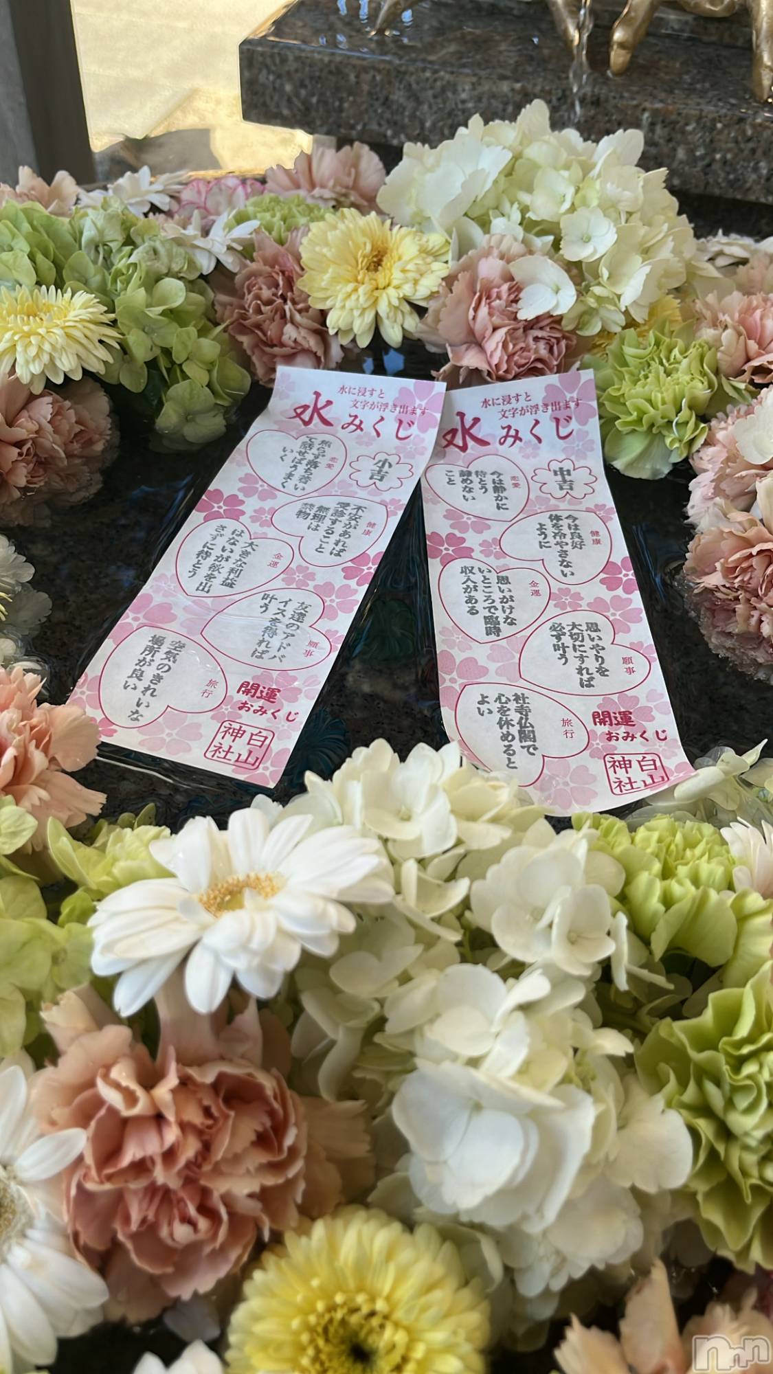 ��ȯ�ĥ���Х��顦�����REBIVE(��Х���) ��2026ǯ4��18���̥�֥����ֱ���☘️��