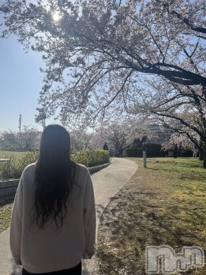 ȯĥХ顦CLUB  F.ROZEN(֥ե) 416̥֥🌸𝑺𝑨𝑲𝑼𝑹𝑨🌸🌸✩. *ߡ