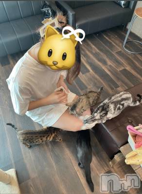 ȯĥХ顦CLUB  F.ROZEN(֥ե) 521̥֥🐱ྀི🐱ྀི🐱ྀི