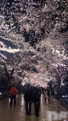 ��ȯ�ĥ���Х��顦�����REBIVE(��Х���) �����4��11���̥�֥����ֹ���🌸��