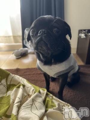 ��Ʋ����Х��顦�����Lounge Veranda(�饦�󥸥٥���) ���Τ�3��1���̥�֥����ֽжФǤ�����