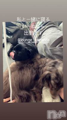 ��Ʋ����Х��顦�����Lounge Veranda(�饦�󥸥٥���) ���Τ�5��15���̥�֥����ֽжФǤ�����