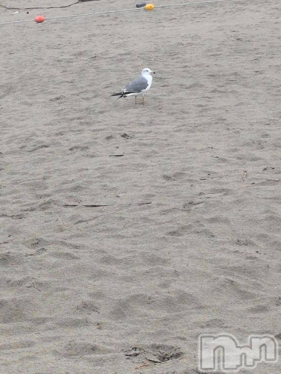 三条デリヘルalphaGOLD(アルファゴールド) ひじり(23)の11月14日写メブログ「こんにちは😊」