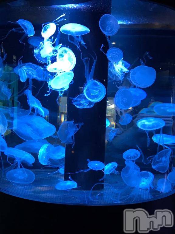 三条デリヘルalphaGOLD(アルファゴールド)ひじり(23)の2025年3月25日写メブログ「こんにちは😊」