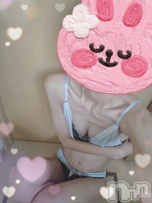 三条デリヘル alphaGOLD(アルファゴールド) ひじり(23)の1月12日写メブログ「おはようございます(˶･ᴗ･˶)」