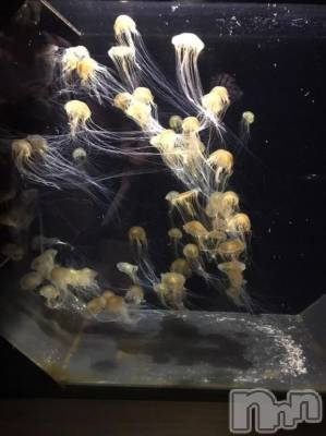 三条デリヘル alphaGOLD(アルファゴールド) ひじり(23)の4月2日写メブログ「おはようございます😊」