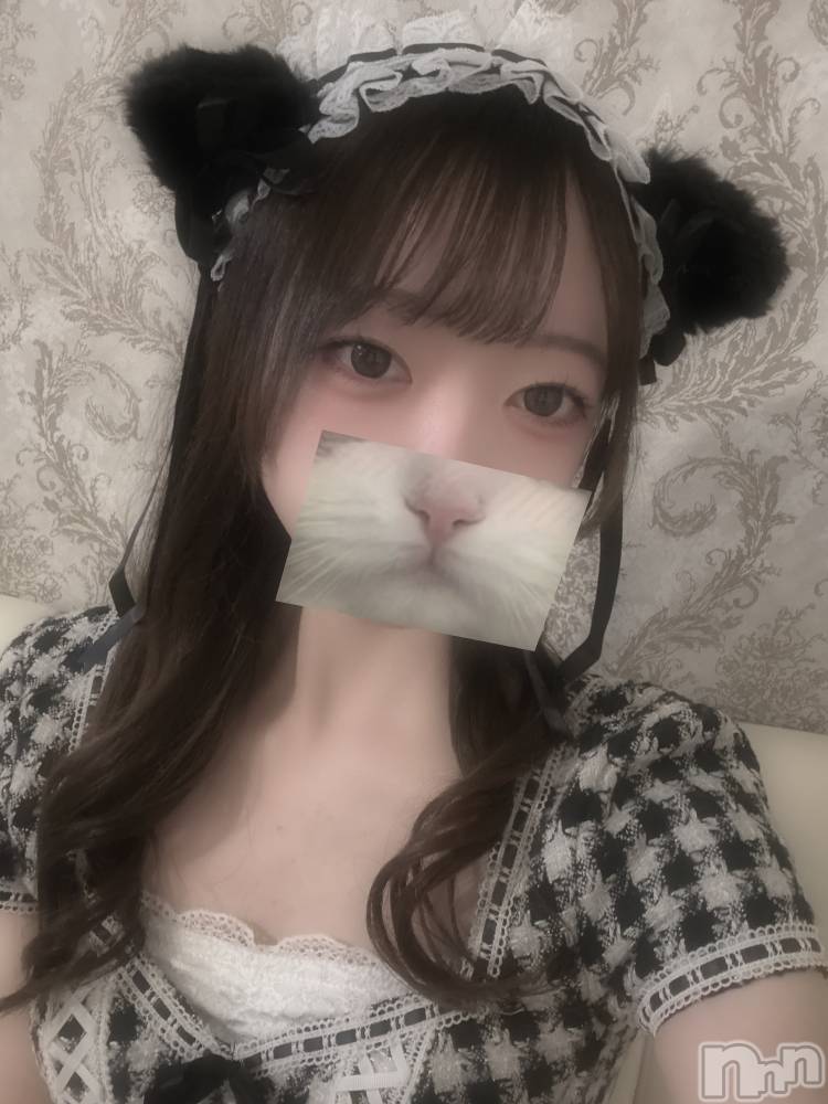 ʥå륺С󥻥ץȥե ˤޤ(󥻥ץȥե˥ޥ륭奦ǥ) Τ125̥֥֤ͤ🐈‍⬛