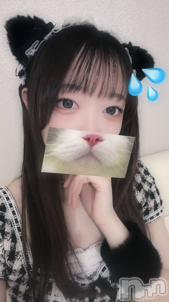 ʥå륺С󥻥ץȥե ˤޤ(󥻥ץȥե˥ޥ륭奦ǥ) Τ220̥֥֤ޤ䡢.........