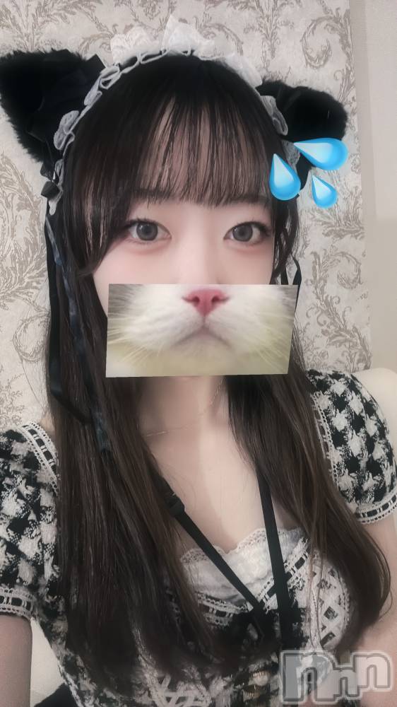 ʥå륺С󥻥ץȥե ˤޤ(󥻥ץȥե˥ޥ륭奦ǥ) Τ224ֻ̥֥Ϣ٤餹ȡ