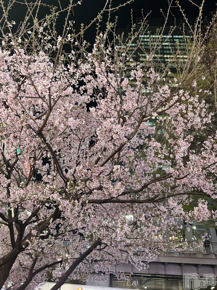 ʥå륺С󥻥ץȥե ˤޤ(󥻥ץȥե˥ޥ륭奦ǥ) Τ418̥֥֤🌸