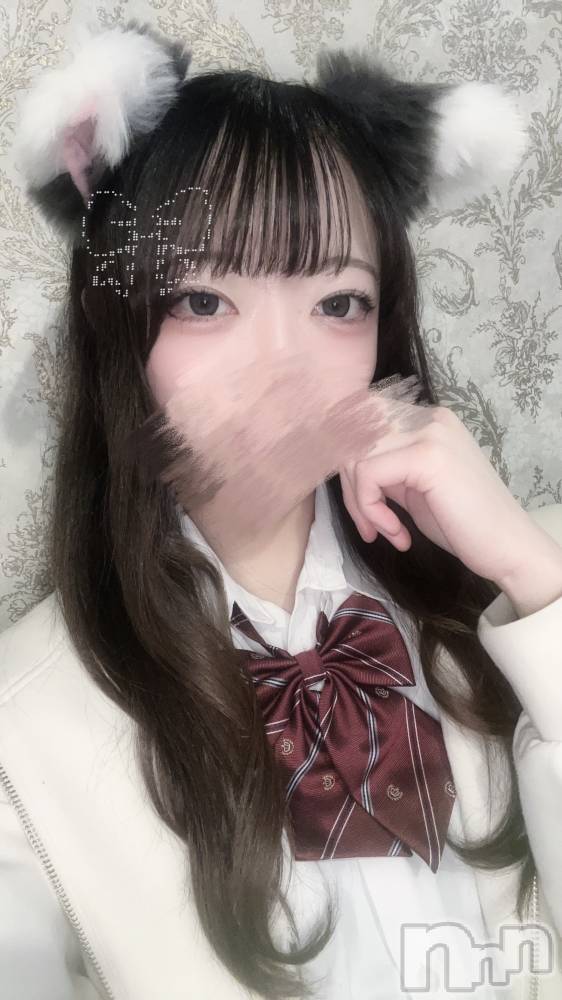 ʥå륺С󥻥ץȥե ˤޤ(󥻥ץȥե˥ޥ륭奦ǥ) Τ425̥֥🎀